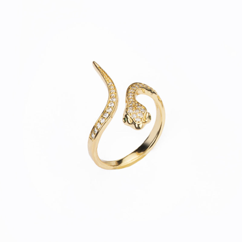 Anello Snake