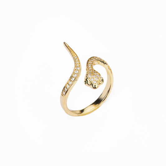 Anello Snake